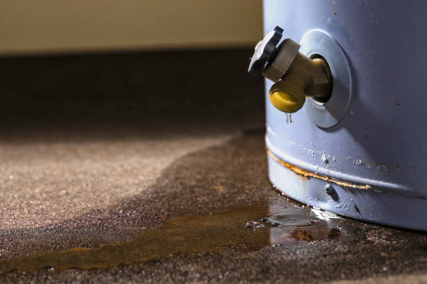 Best Flooded house restoration  in Crooked Lake Park, FL
