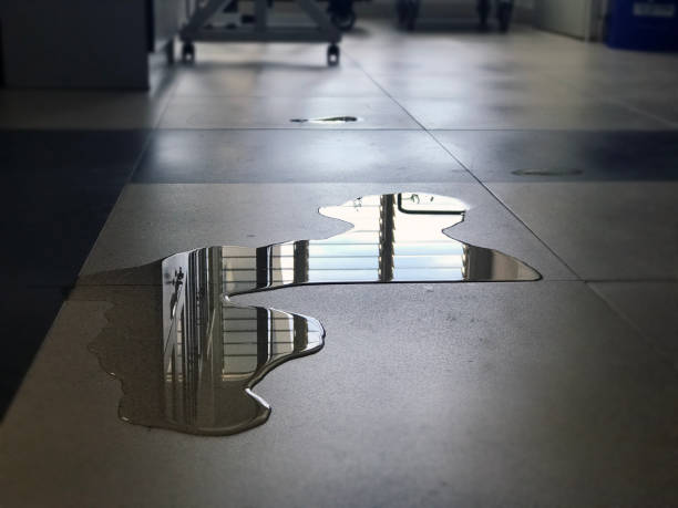 Best 24-hour water damage restoration  in Crooked Lake Park, FL
