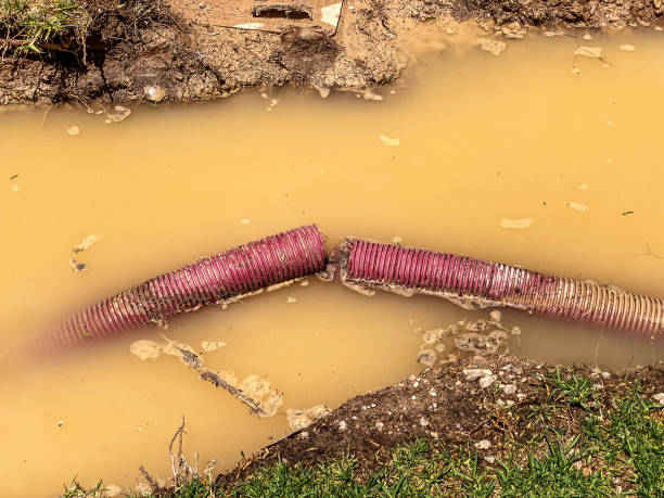 Best Water damage restoration near me  in Crooked Lake Park, FL